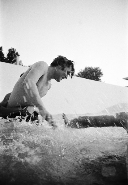 alfred wertheimer govinda