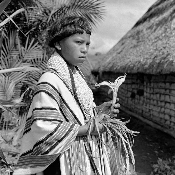 © Richard Evans Schultes 